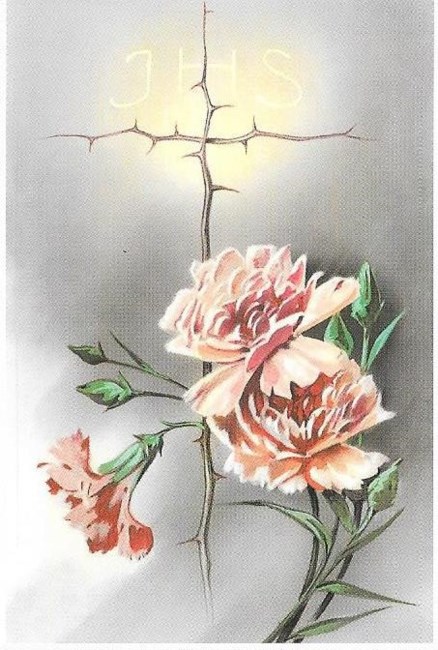 Obituary of Norka Laureiro