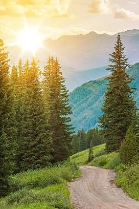 Carl Bird Obituary - Longmont, CO
