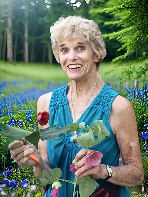 Obituary of Penny Ann Howorth