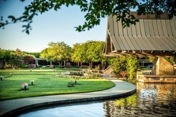 Obituary of Barbara Aileen Silvester Davies