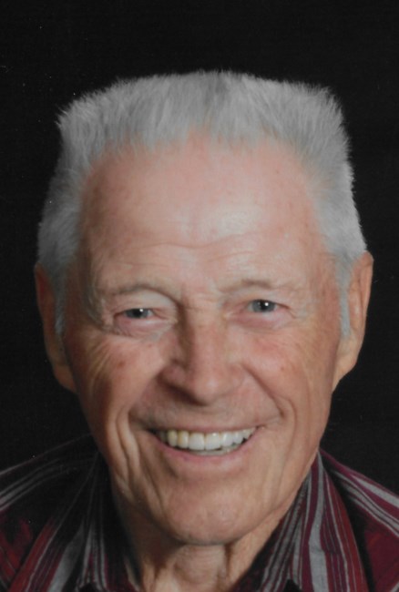 Obituary of David W Lillegaard