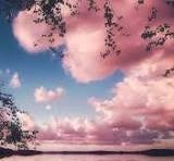 Obituary of Leslie Anne Carapella