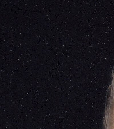 Cynthia Hall Obituary - Houston, TX