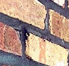 Daniel Taylor Obituary Sulphur, LA