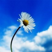 Obituary of Mrs. Beatrice G. Morales