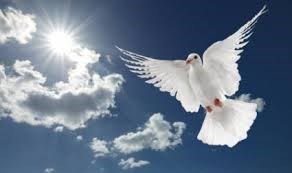 Obituary of Esperanza Bedoya Nuñez