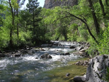 Obituary of Randy Gene Klasek