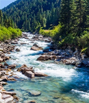 Obituary of Glenda Lora Brooks