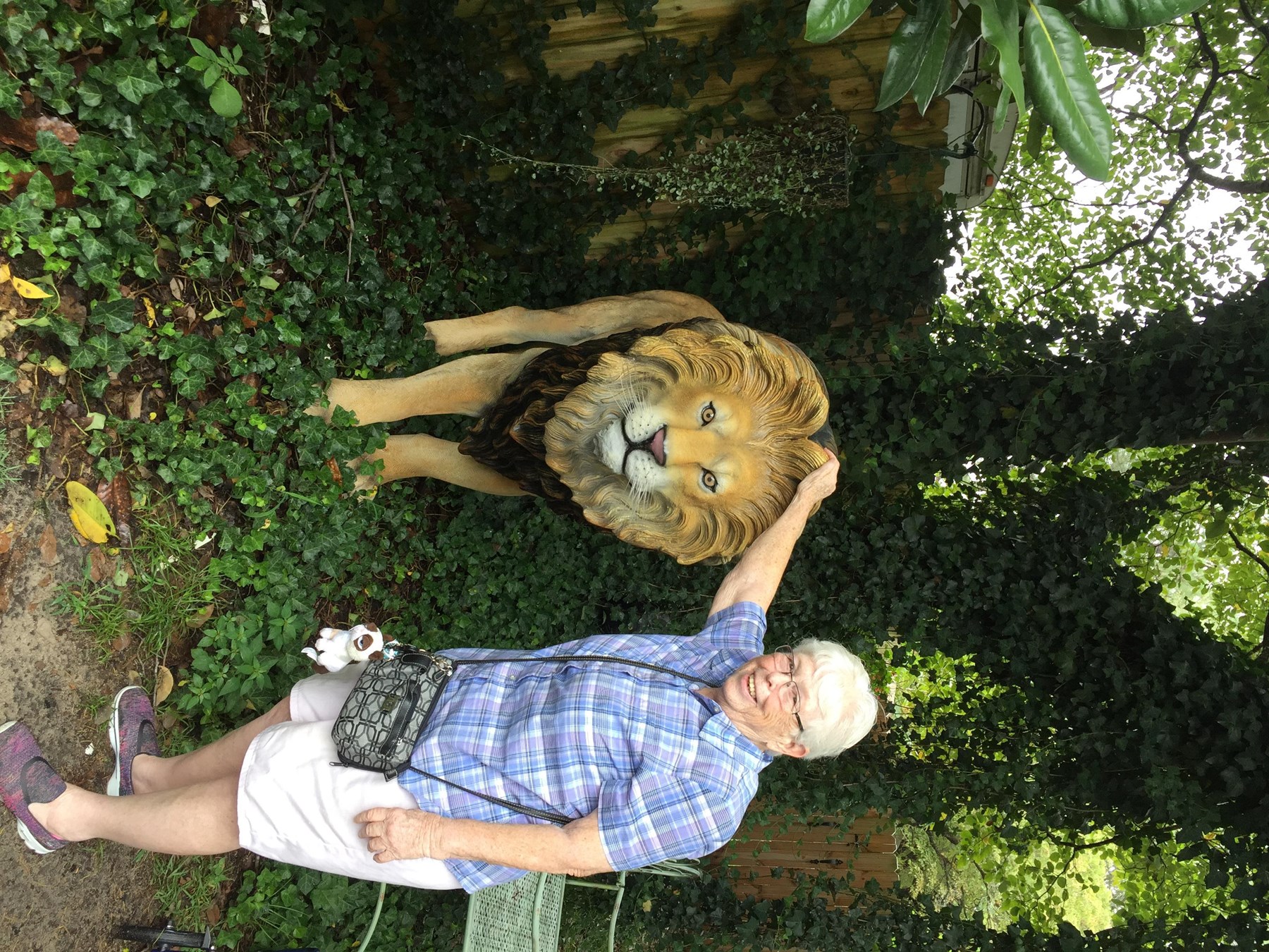 Obituary of Carol Lyn Wallis