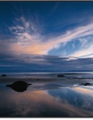 Obituary of Elijah K. Kamalani