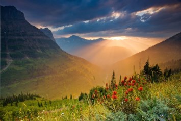 Obituary of Isabel J. Dominguez Medina