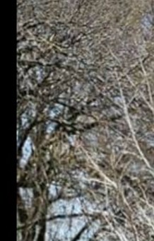 Rodney Monroe avis de décès Ankeny, IA