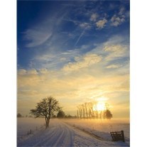 Avis de décès de Elfrieda Catherine Goodman