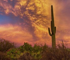 Obituary of Gerald R. Crawford