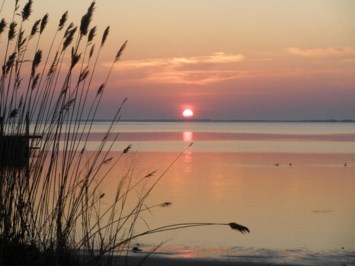 Obituary of Mary Alice Jones