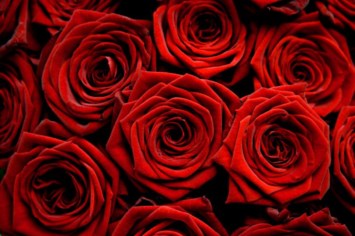 Obituary of Helen J. Logan