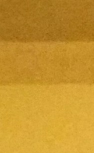 Kevin Lewis Obituary Wichita, KS