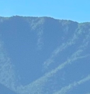 Anthony Rodi, Obituary - Columbia, MS