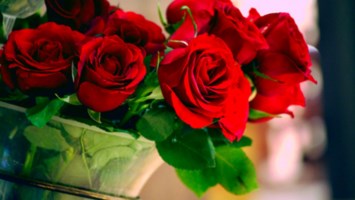 Obituary of Josephine Cartiglia