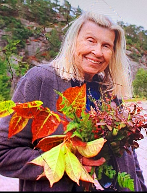 Obituary of Arleen Janet Mazzone