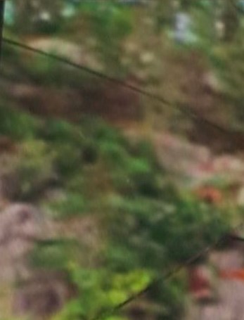 Arleen Janet Mazzone Obituary - Deer Park, NY