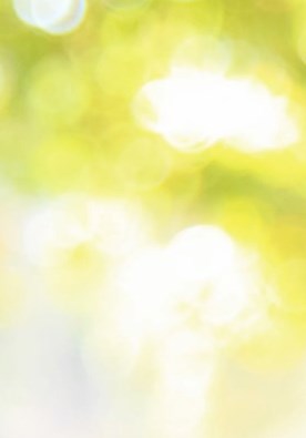 Amalia C. Muñiz T. Obituary Santa Ana, CA