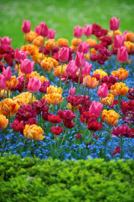 Obituary of Emily M. Dutcher