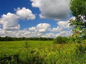 Obituary of Patrick Francis Leapley