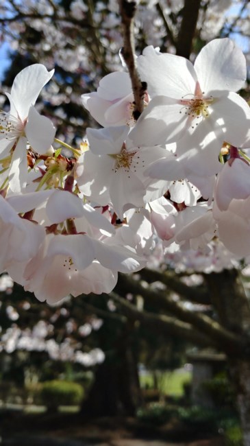 Obituary of Shawn David Schuyler