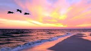 Obituary of Donna Jean Ganeo