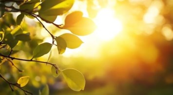 Obituary of John Charles Eckhardt