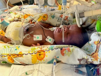 Obituary of Brandon Leadell Tripp Jr.