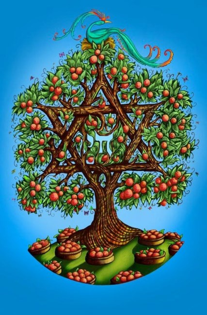 Obituary of David Solomon Flanz