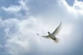 Obituary of Joseph R Prato