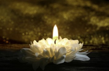 Obituary of Heidi Ann Gentzler