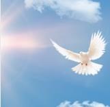 Avis de décès de Mr. Gilbert Torres Ghigliotty