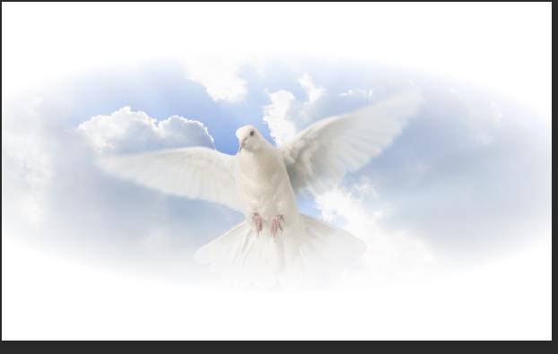 Obituary of Marco Antonio Alcantar Sanchez