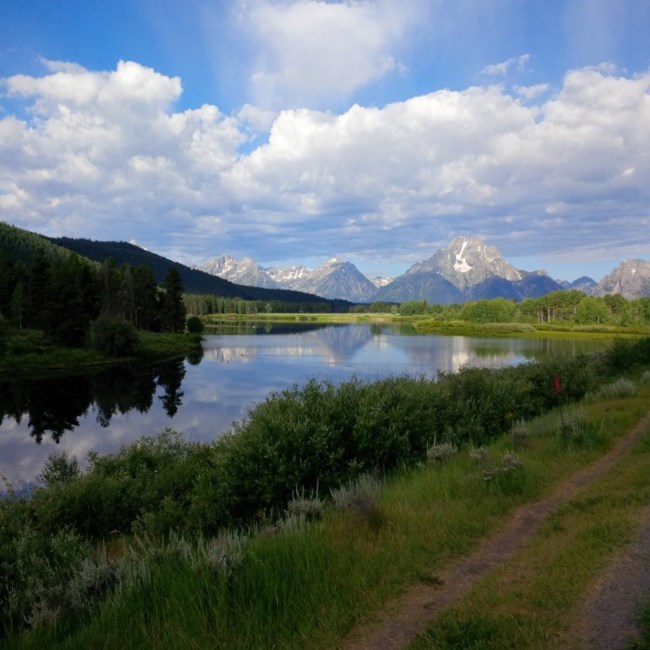 Obituary of Gordon Frank IRELAND