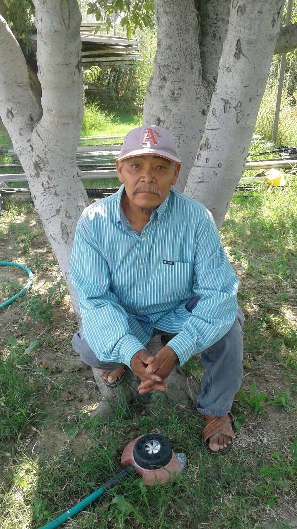 Obituary of Faustino Gregorio Hernandez Gonzalez