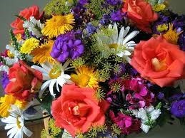 Obituary of Frances Peters