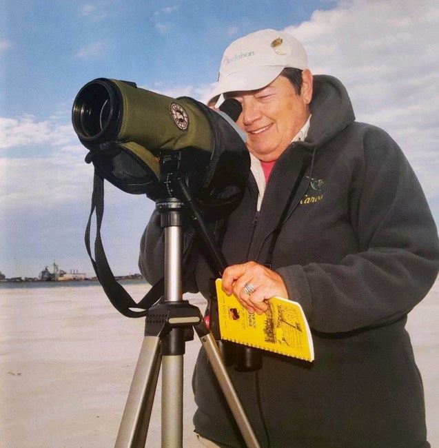 Obituary of Carole Anne Adams