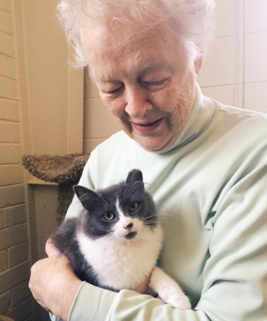 Obituary of Catherine Anderson Wetzel