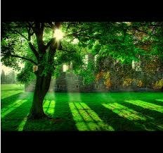 Obituary of George Martin Cole