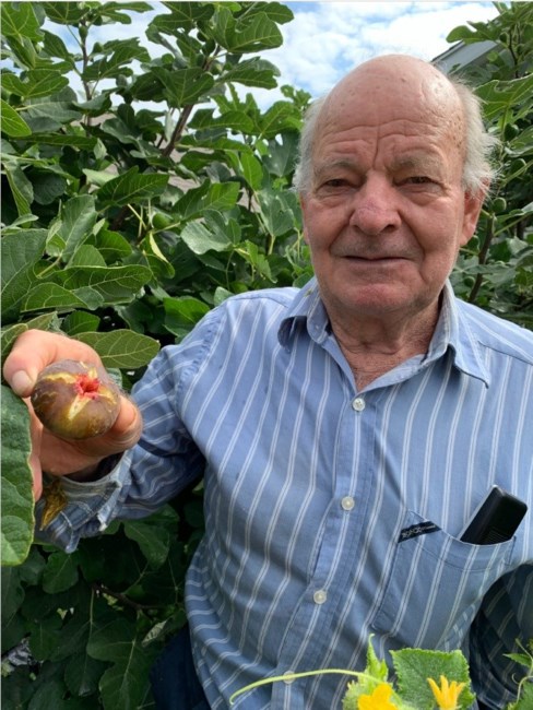 Obituary of Giuseppe Caruso