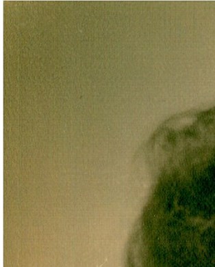 Irene PACCIONE Obituary irene-paccione-obituary