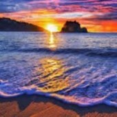 Obituary of Sylvia F. Martinez