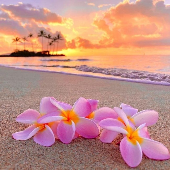 Obituario de Bettie Marie Harmon