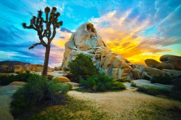 Obituary of Thomas Allen Brown