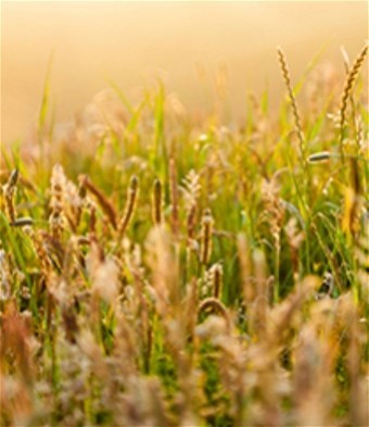 Obituary of Cecil "Paul" Elkins