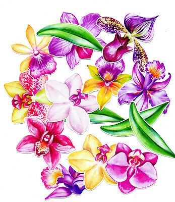 Obituary of Mary-Joan Gear Stewart